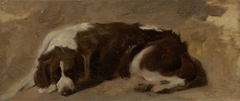 A Spaniel Lying Down by Edwin Henry Landseer