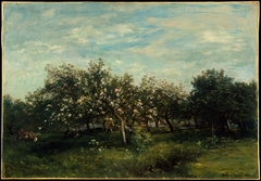 Apple Blossoms by Charles-François Daubigny