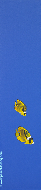 Exhibit image