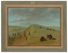 Cedar Bluffs by George Catlin