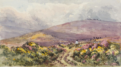 Countisbury Common, North Devon by Alfred Baxter