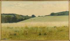 Dans les champs de Diélette (Manche) by Alphonse Osbert