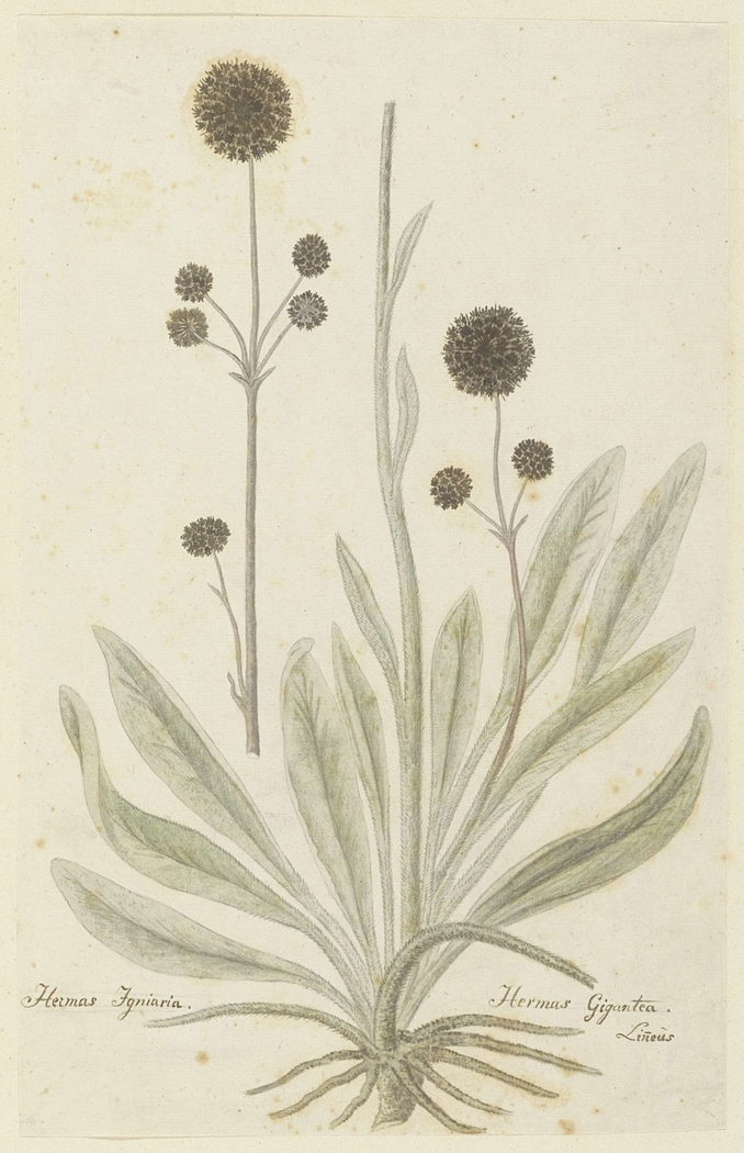 Exhibit image