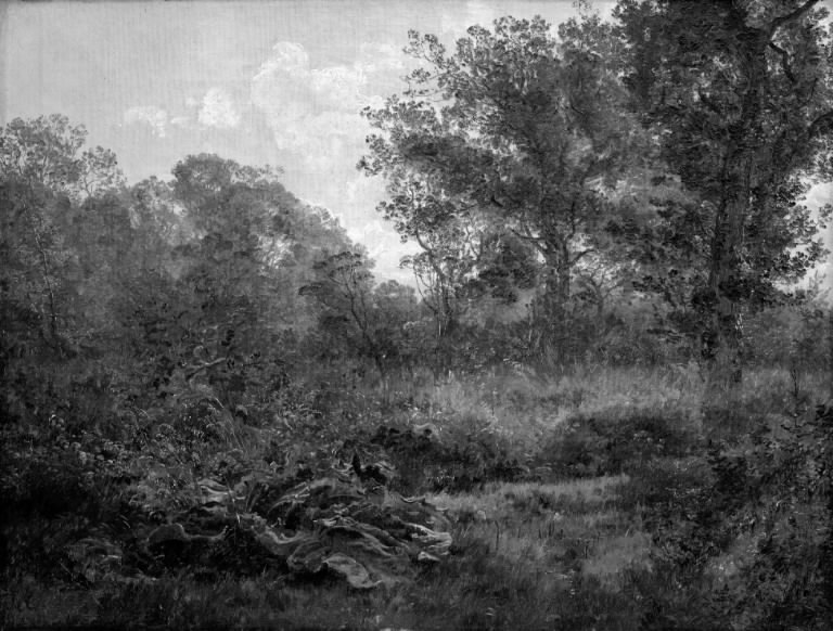 Exhibit image
