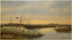 Jersey Marshes, South New Jersey by George Emerick Essig