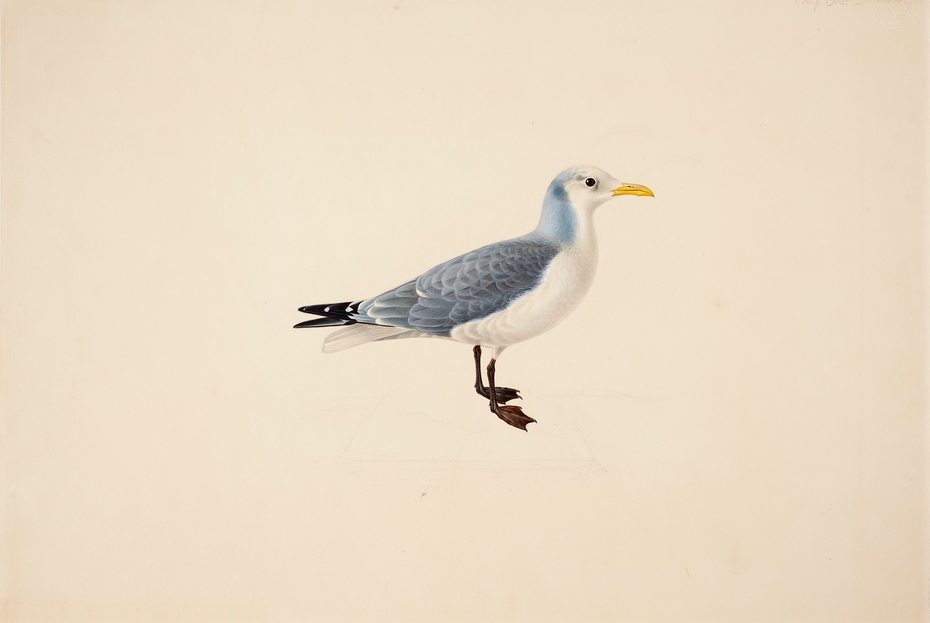 Exhibit image