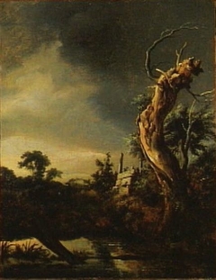 Landscape with dead tree and an oncoming storm by Jacob van Ruisdael