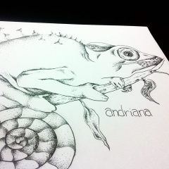 lizard by Andriana