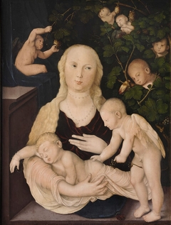 Madonna in the Vine Arbour by Hans Baldung