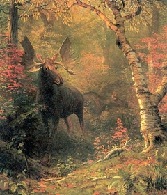 Moose in a Forest Glen by Albert Bierstadt