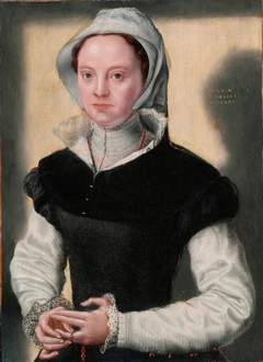 Portrait of a Lady by Catharina van Hemessen