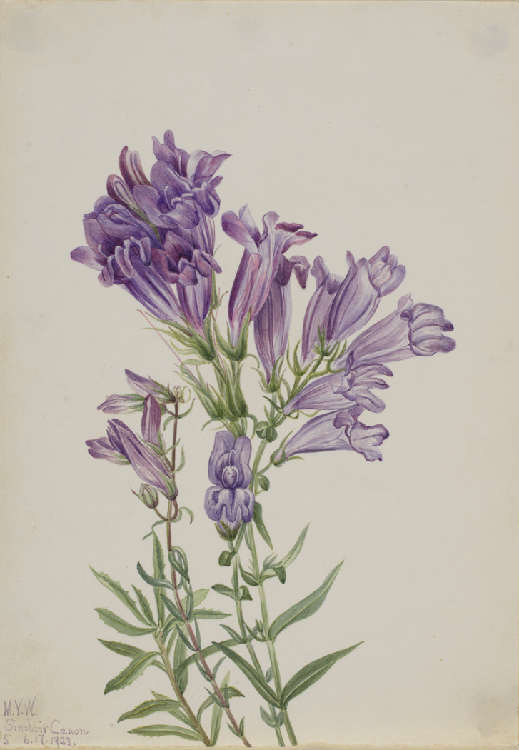 Exhibit image