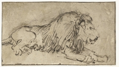 Recumbent Lion Facing Right by Rembrandt