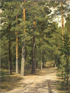 Road in the Pine Forest by Ivan Shishkin