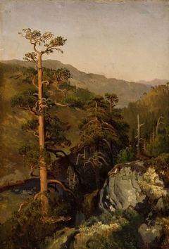 Rocky Landscape with Pinetreees by August Cappelen