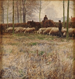 Schapen bij de boerderij by Frans van Leemputten