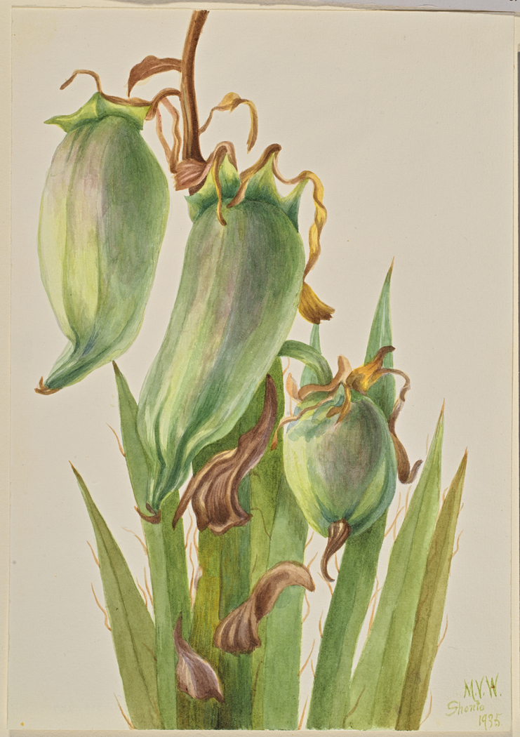 Exhibit image