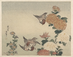 Sparrows and Chrysanthemums by Katsushika Hokusai