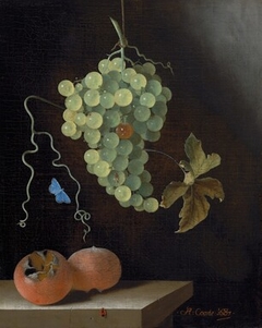 Still Life with a Hanging Bunch of Grapes, Two Medlars, and a Butterfly by Adriaen Coorte