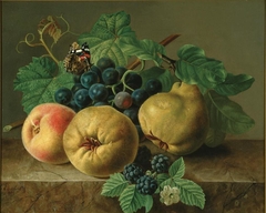 Still life with fruit by Christina Gerarda Enschedé