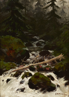 Stream in the Forest by Stanisław Witkiewicz