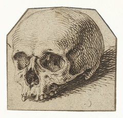 Studie van een schedel by Jacob de Gheyn II