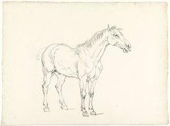 Studie van een staand paard, naar rechts by Hendrik Voogd