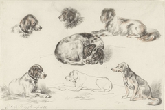 Studies of Dogs by Guillaume Anne van der Brugghen