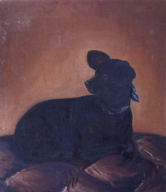 Study of a Black Dog by Anonymous