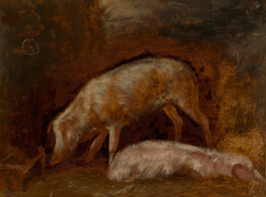 Study of Pigs by Alexandre-Gabriel Decamps