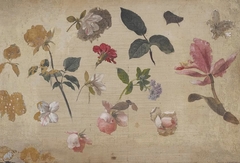 Study of Pink Roses, Leaves, Heliotrope, a Carnation and an Orchid by Martin Johnson Heade