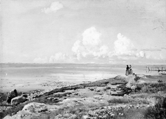 The Beach at Refsnæs, Zealand by Johan Lundbye