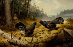 The Fighting Capercaillies by Ferdinand von Wright