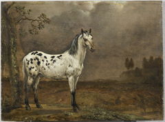 The Spotted Horse by Paulus Potter