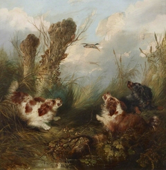 Three Spaniels putting up a Brace of Mallard by George Armfield