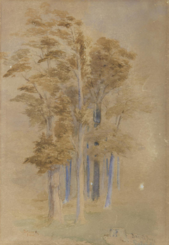 Totara and Pine, Baigent's Bush, Wakefield by John Gully