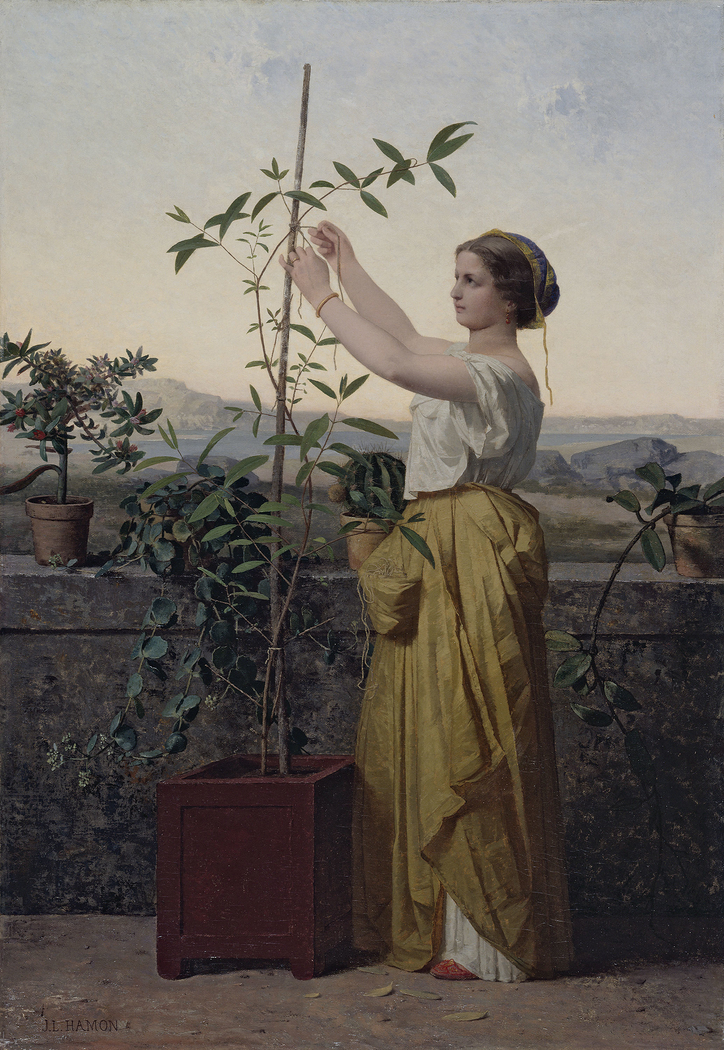 Exhibit image