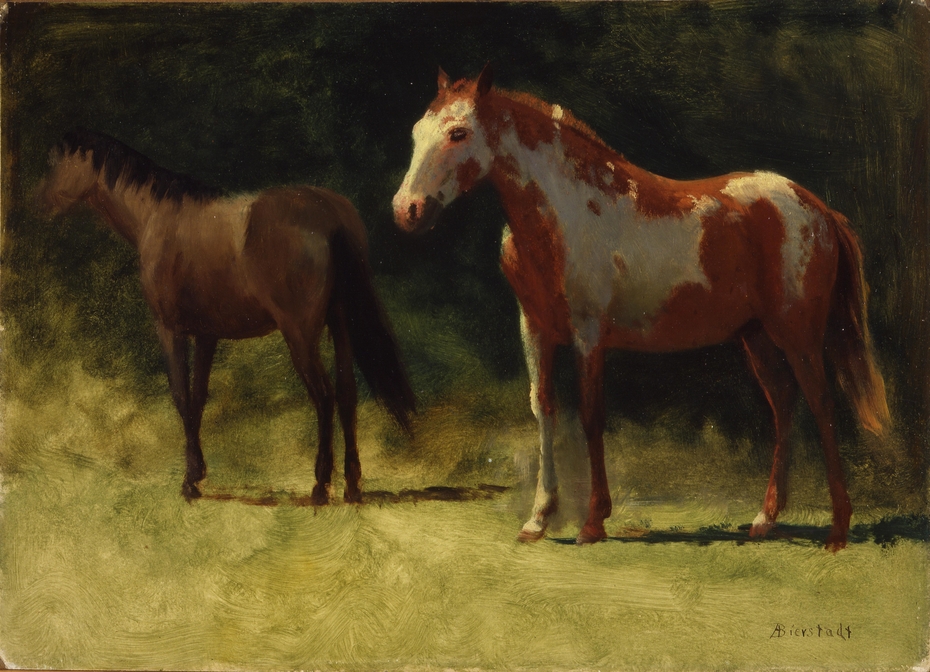 Exhibit image