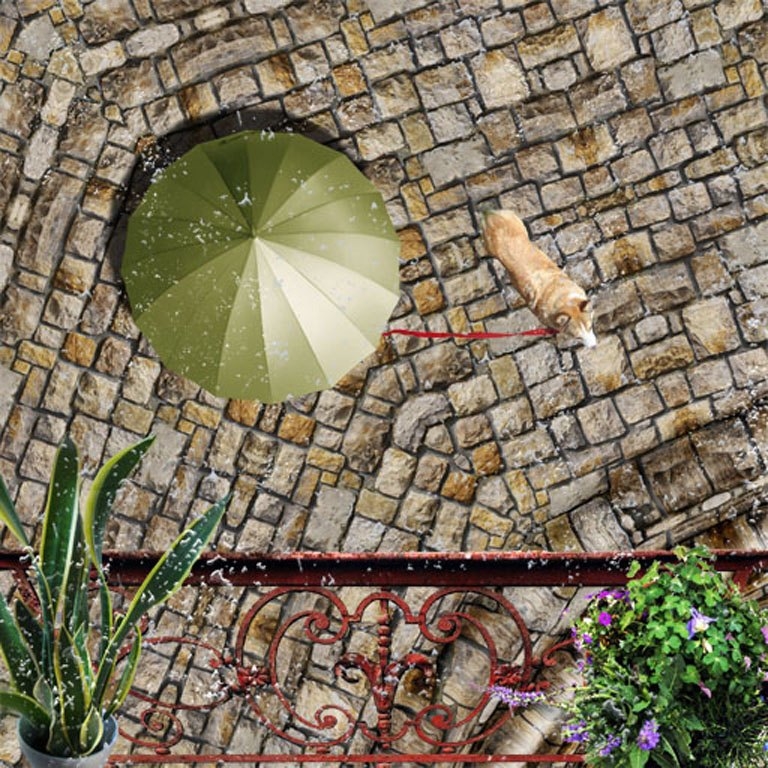 Exhibit image