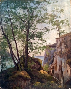 Valaam Island by Ivan Shishkin