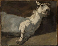 White horse stretched on the ground by Piotr Michałowski