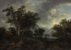 Wooded Landscape with a Pond by Jacob van Ruisdael