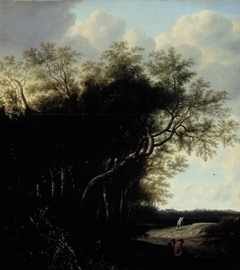 A Dutch landscape by Jan Goedart