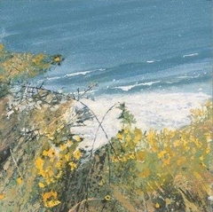 A sheltered Spot - gorse north Devon coast by Judith Yarrow