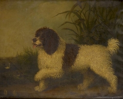 A Spaniel by Henry Bernard Chalon