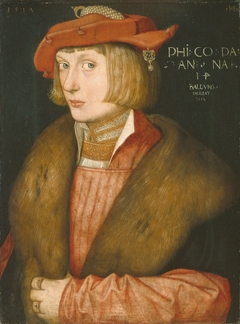 Count Philip Bellicosus by Hans Baldung