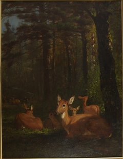 Deer in Forest by Arthur Fitzwilliam Tait