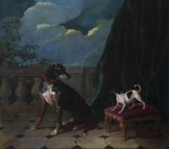 Deux chiens sur une terrasse by Alexandre-François Desportes