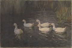 Enten II by Franz Grässel