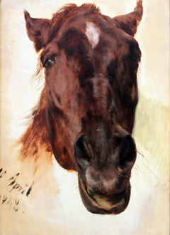 Horse Study by Adolph von Menzel